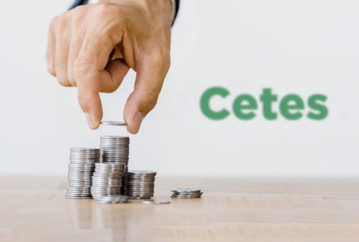 CETES para principiantes